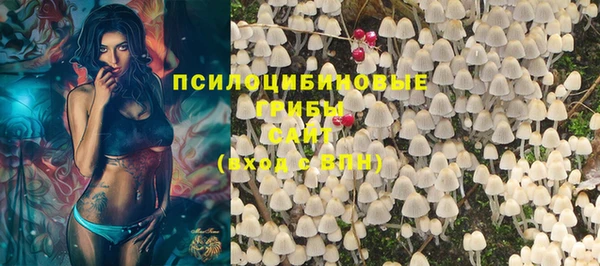 спайс Богданович